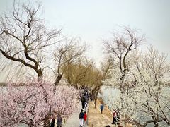 -颐和园