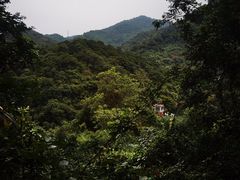 -梧桐山风景名胜区