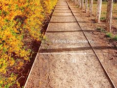 -天津东丽湖风景区