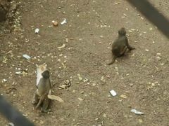 -昆明动物园