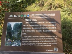 -苍山感通索道