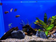 -上海海洋水族馆