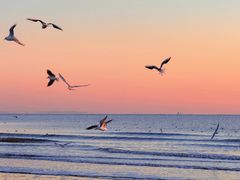 -粤界(望京金辉店)