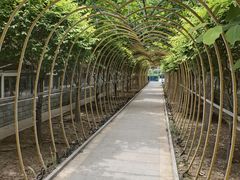 -南宫五洲植物乐园