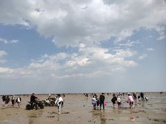-刘家湾赶海园