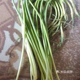 夏季减脂吃什么？好吃又好做的蒜苔炒笔管鱼