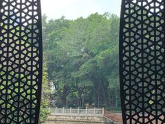 -荔湾湖公园