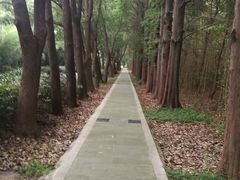 -同里国家湿地公园