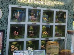 -芸山季·云南山珍菌火锅(南翔印象城MEGA店)