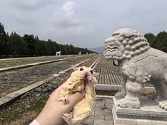 -清东陵