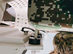 -达爱动物医院·犬猫分区·CT·复杂眼科(远洋山水分院)