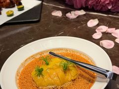 -海派悦庭·海胆烧麦·新融合菜(凯德广场店)