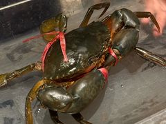 -珍宝海鲜JUMBO Seafood(尚嘉店)