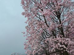 -九皇山景区