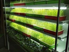 -番食园鲜食火锅(高新店)