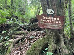 -西岭雪山大飞水景区