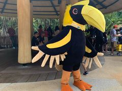 -新加坡飞禽公园