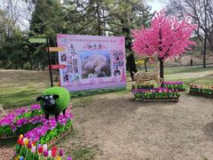 -团结湖公园