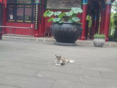 -南岳明心寺