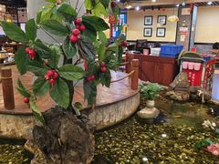 -丰圆轩粤式茶楼 . 点心粤菜(夏茅店)