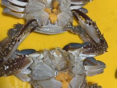 -岳各庄批发市场(西四环中路店)