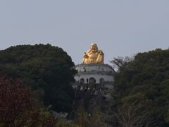 -苏州上方山国家森林公园
