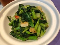 清炒菜心-赵小姐丨新中餐(曲江店)