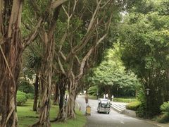 -深圳国际园林花卉博览园