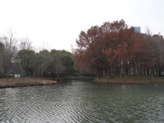 -巡塘古镇