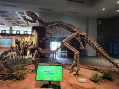 -自贡恐龙博物馆