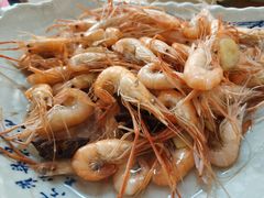 -巢湖姥山岛