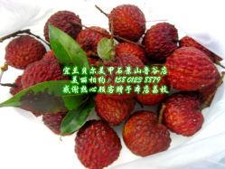 宜兰鲁谷店15801238879-梵熙美甲 Fancy Nails