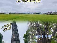 -上海佘山国家森林公园天马山园