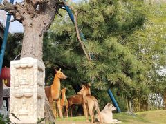 -龙华素斋(龙华路店)