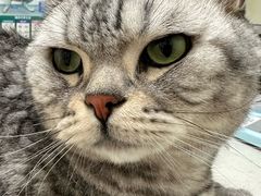 -美联众合24小时·皮肤科·外科·全科诊疗中心(华苑分院)