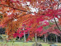 -上海吴淞炮台湾国家湿地公园