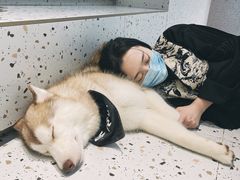 -Husky Go!哈士奇体验馆·宠物咖啡厅狗咖