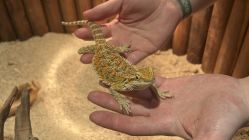 -酷嗒动物文化乐园(cutezoo西溪乐天城店)