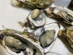 清蒸生蚝-蛙蛙叫干锅年代(簋街总店)
