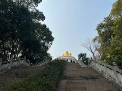-苏州上方山国家森林公园