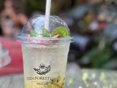 -Fern Forest Cafe