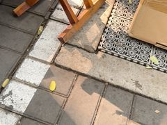 -悦融琥珀·京鲁菜·海味珍品(西单店)