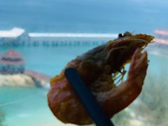 -蜈支洲岛珊瑚酒店临海阁中餐厅