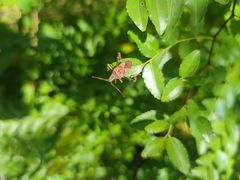 -北京十三陵国家森林公园蟒山景区