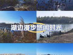 -天津东丽湖风景区