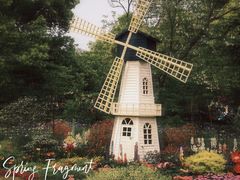 -上海共青森林公园