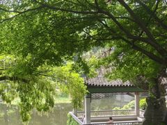 -叶家花园