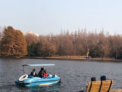 -上海共青森林公园