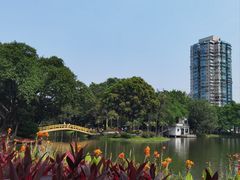 -晓港公园