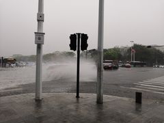 -深圳市人才园(深南大道店)